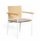 Allure Silla con Brazos Color, AI4, L2,CM3. 60ax58px84h Cm. — imagen original